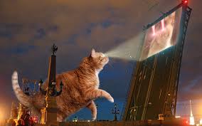 picture of a giant cat projecting a movie onto a skyscraper